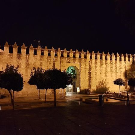 Ferienwohnung Apartamento Junto A La Mezquita Córdoba Exterior foto